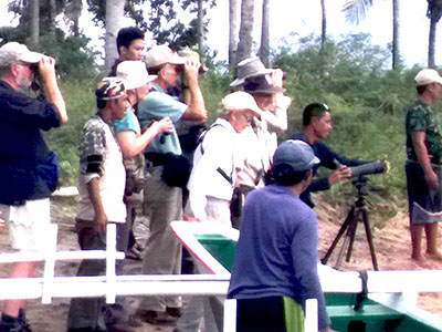 http://www.samuelbirding.com/wp-content/uploads/2016/12/mangrove-with-susan-mayer.jpg